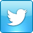Twitter icon
